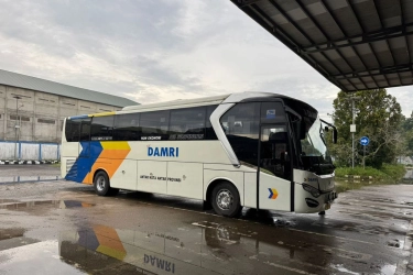 Jakarta-Bali Bisa Naik DAMRI, Cek Harga Tiket, Rute dan Jadwal