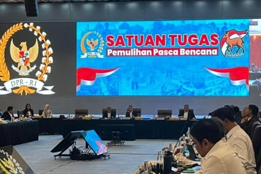 Mentan Usul Bantuan Diaspora Malaysia ke Aceh Jadi Uang Saja, Dasco: Repot!