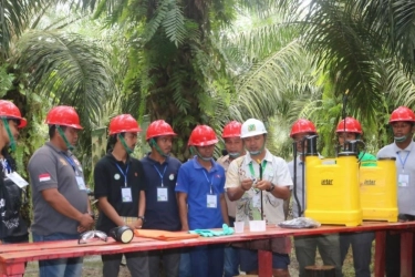 Cerita Petani Sawit, 