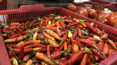 Harga Komoditas Cabai Mulai Turun Awal Ramadan, Tapi Cabai Rawit Merah Masih Tinggi