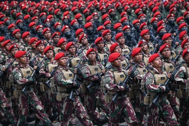 Mengenal ISF, Indonesia Jadi Wakil Komandan dan Siapkan 8.000 Prajurit ke Gaza