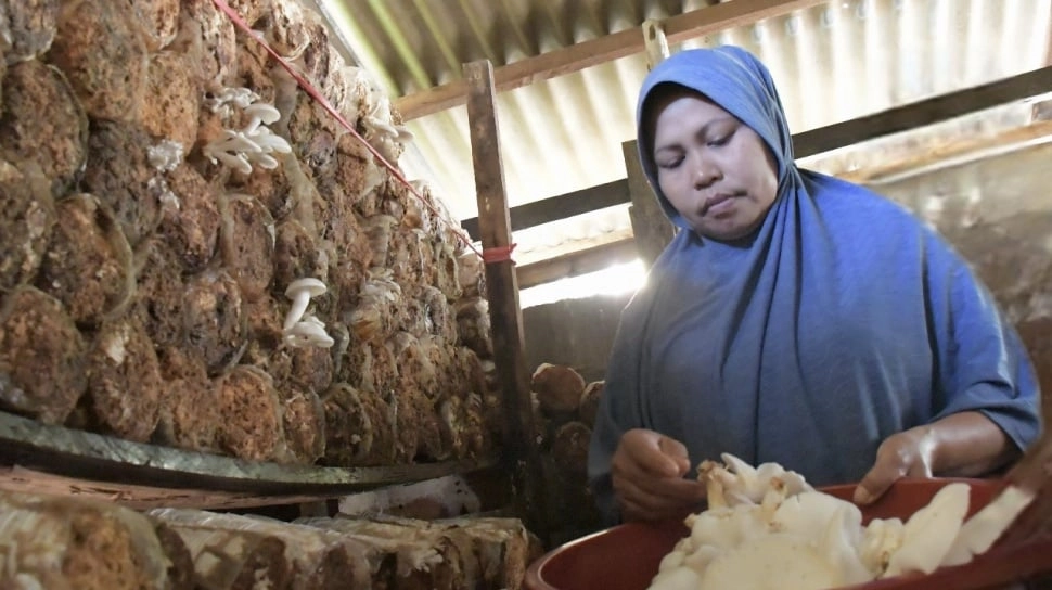 Desa di Kebumen Ini Ubah Limbah Jadi Rupiah