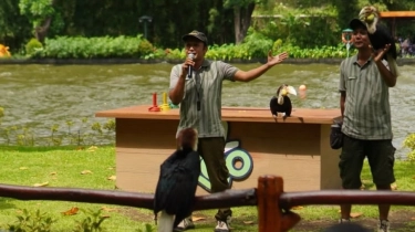 2 Kebun Binatang di Yogyakarta Ini Tawarkan Paket Bukber Kids Friendly, Cek Harga Tiketnya!