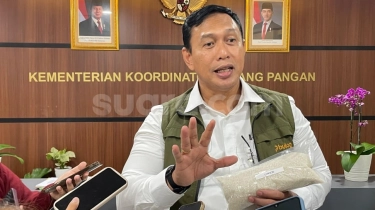 Beras Premium Bulog Mejeng di Rak Bin Dawood dan Lulu, Siap Garap Pasar Arab Saudi