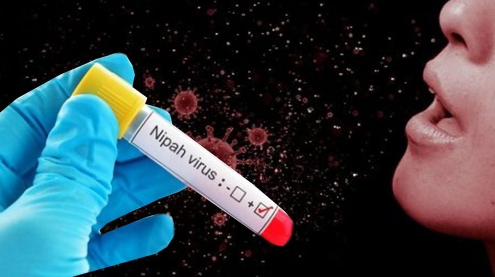 Virus Nipah Mengintai: Mengapa Kita Harus Waspada Meski Belum Ada Kasus di Indonesia?
