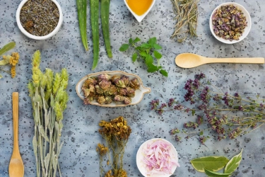 Mengenal Bahan Skincare Alami dari Hutan Kalimantan dan Manfaatnya