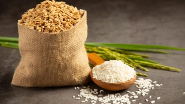 Kapan Waktu yang Tepat untuk Membayar Zakat Fitrah? Ini Cara yang Benar