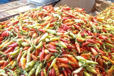 Pemerintah Sudah Guyur 10,9 Ton Cabai Ke Pasar Induk Kramat Jati