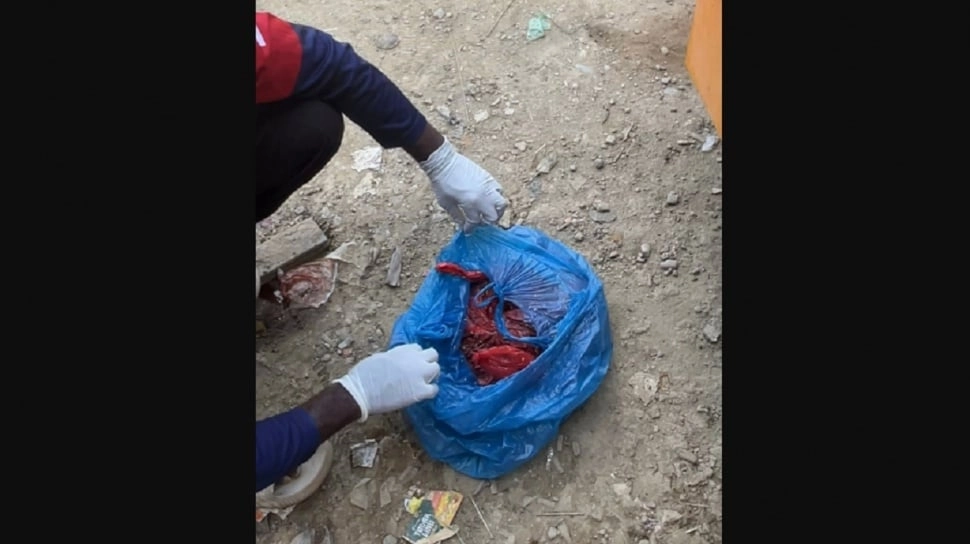 Ngeri! Relawan Kemanusiaan Asal Jogja di Aceh Kena Teror, Dikirimi Bangkai Anjing Tanpa Kepala