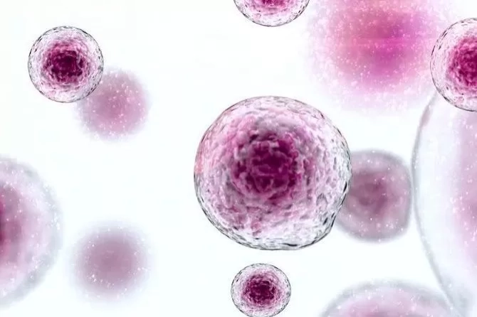 Terapi HSC Darah Tali Pusat Bebaskan Thalasemia dari Transfusi