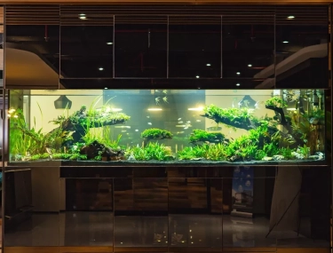 Aquarium Jadi Strategi Baru Kantor Modern, Dongkrak Produktivitas dan Citra Perusahaan