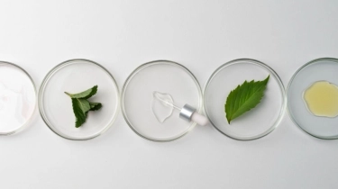 Agar Indonesia Maju dari Kekayaan Biodiversitas, Kepala BPOM: Kolaborasi Riset dan Dunia Usaha