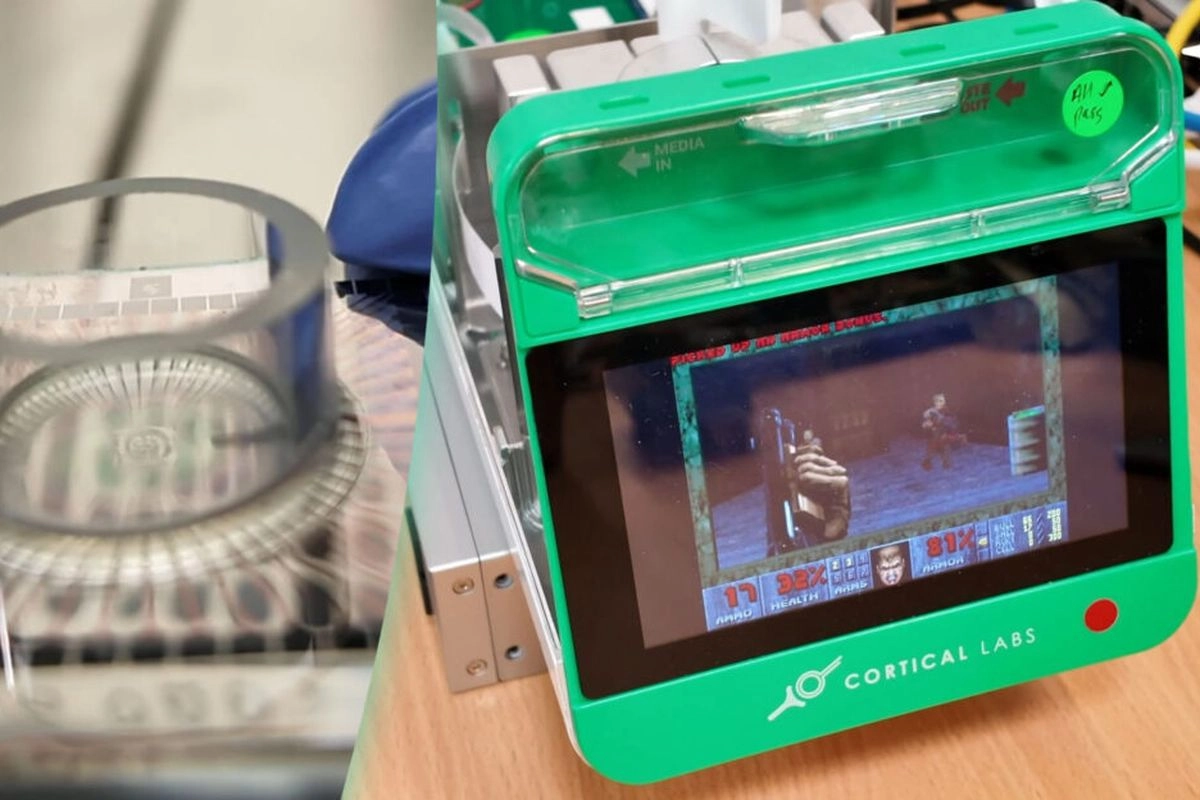 200.000 Sel Otak Manusia Digabung ke Chip Komputer, Lalu Dilatih Main Game ''Doom''