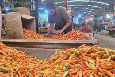 Kabar Baik Lebaran 2026, Stok Pangan Cukup, Harga Stabil