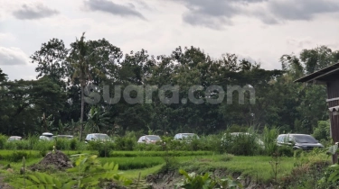 Hindari Macet JogjaSolo, Ratusan Pemudik Pilih Jalur Sawah di Purwomartani Menuju Tol