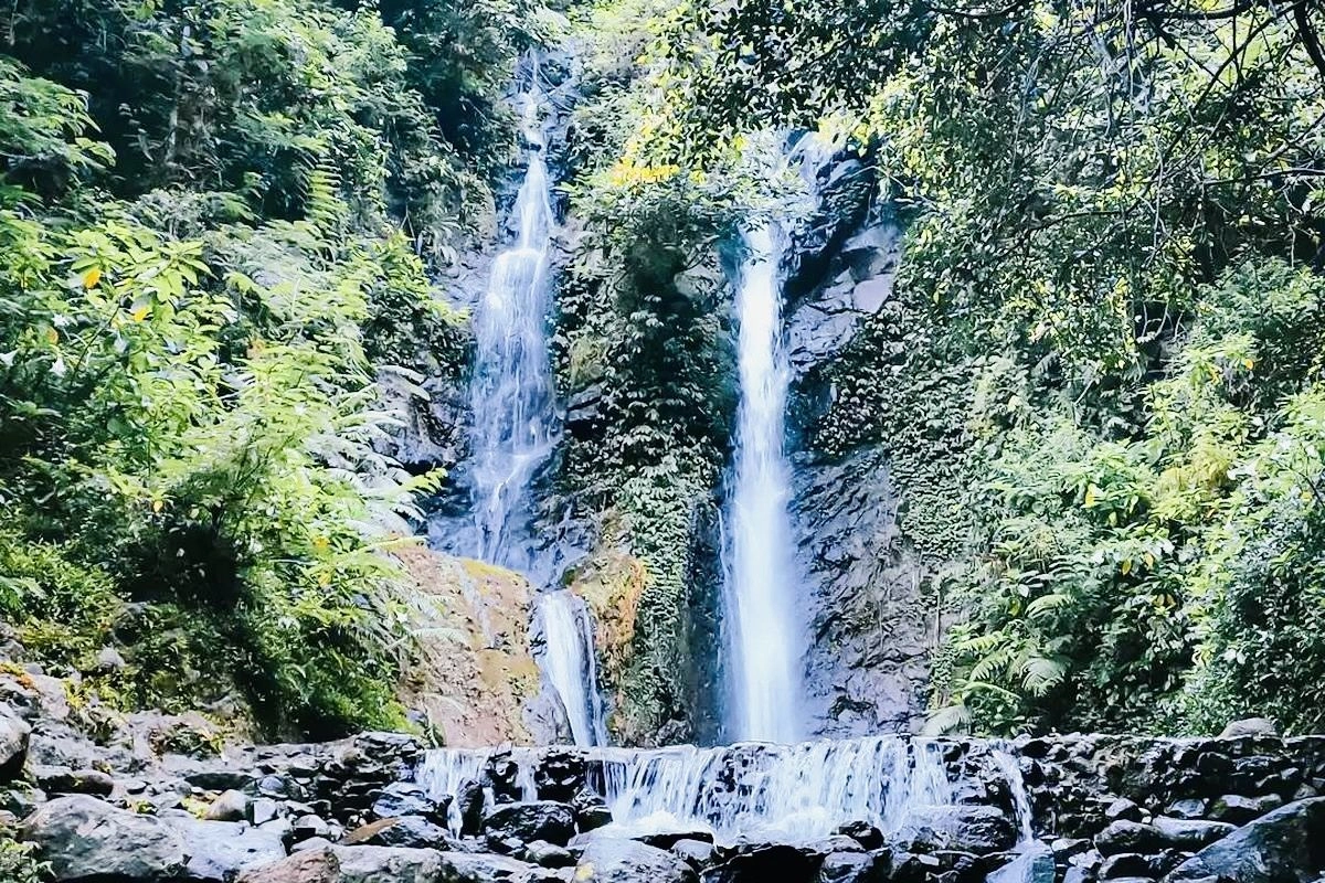 8 Wisata Alam Bogor untuk Libur Lebaran, Sejuk dan Seru