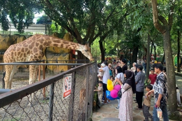 Akhir Libur Lebaran, Nikmati Parade Satwa dan Interaksi Edukatif di Kebun Binatang