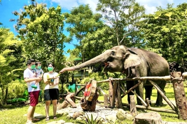 Libur Lebaran, Gembira Loka Zoo Catat 11.000 Kunjungan