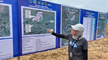 Dana Iklim dan Rehabilitasi Hutan di Kalimantan: Bisakah REDD+ Beri Dampak Jangka Panjang?