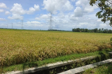 Zulhas: Alih Fungsi “Sawah Abadi” Sejak 2010 Akan Didenda