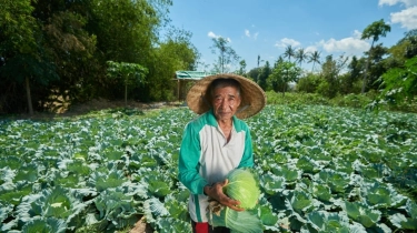 Perubahan Iklim Tekan Produksi Pangan, BRIN Dorong Adaptasi dan Mitigasi
