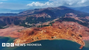 Setahun Prabowo: Deforestasi Melonjak, Potensi 'Juara Dunia' Hutan Gundul