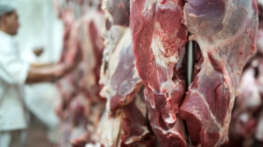 Impor Sapi Ratusan Ribu Ekor, Kok Harga Daging Malah Makin Mahal? Ini Penjelasan IKAPPI