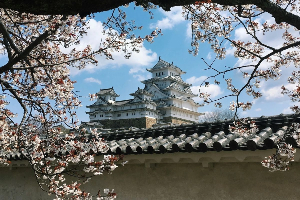 Pajak Turis Asing di Jepang Naik 3 Kali Lipat Mulai Juli 2026
