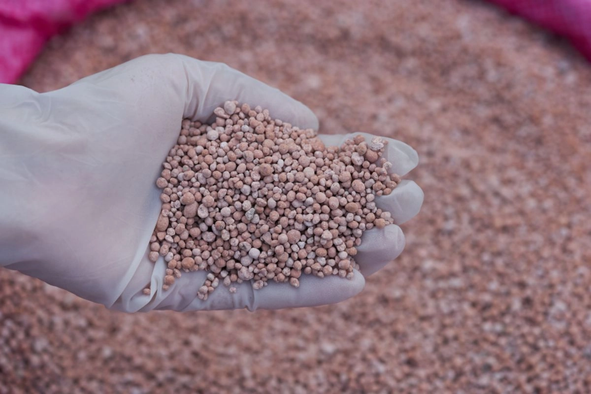 Pasokan Dalam Negeri Surplus, Produksi Pupuk RI Diincar Negara Lain