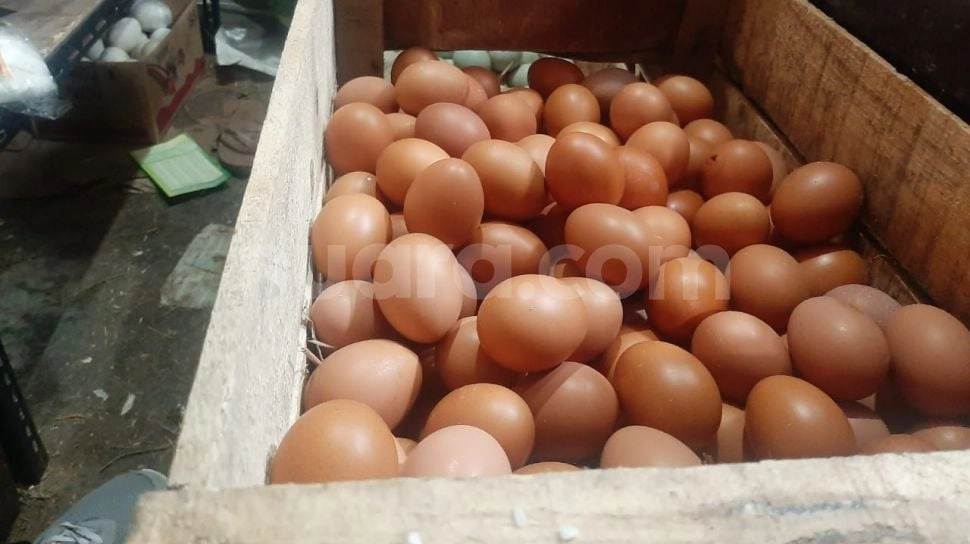 Cabai Melonjak Tajam, Telur Ikut Naik, Harga Minyak Goreng Justru Turun