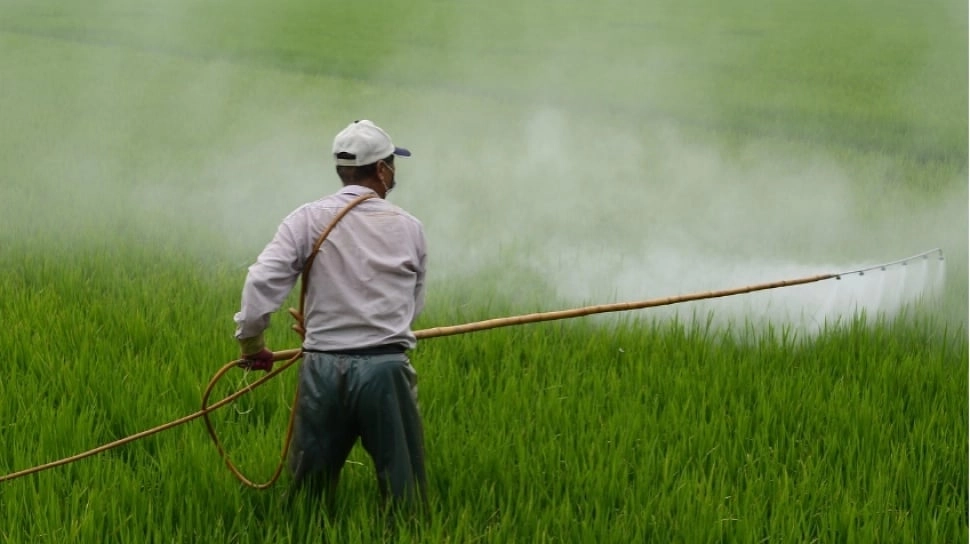 Dongkrak Produktivitas Petani Pantura, Petrokimia Gresik Pacu Pendapatan Hingga 15%