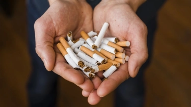 Negara Rugi Bandar Akibat Rokok Ilegal, Ekonom: Penegakan Hukum Tak Bisa Ditawar