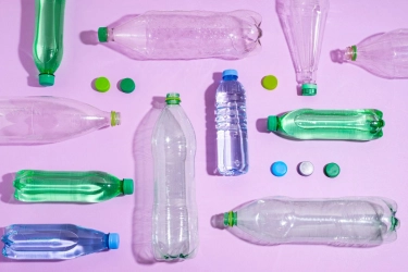 Anggota DPR: Rumput Laut dan Singkong Kita Melimpah, Kenapa Impor Plastik Mahal?