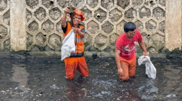Viral Pemusnahan Ikan Sapu-sapu di Jakarta, Bolehkah Mengubur Hewan Hidup-hidup Menurut Islam?