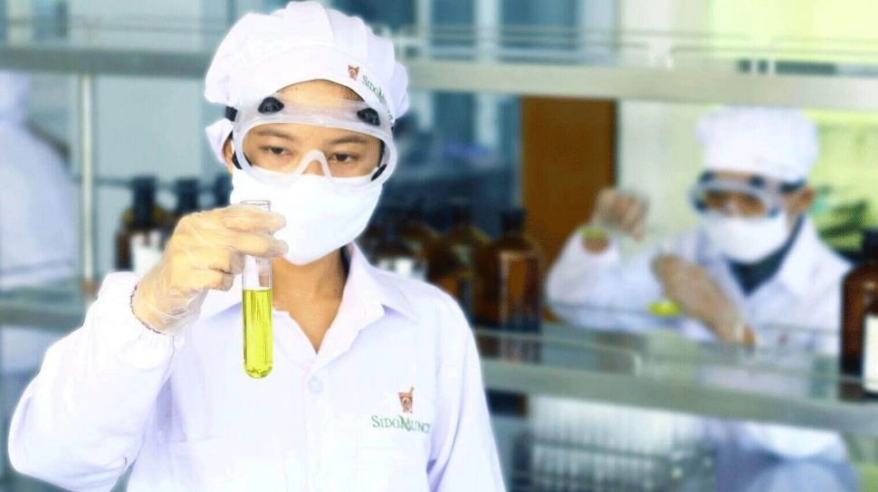 Bedah Saham SIDO, Emiten Tanpa Hutang: Bakal Meroket atau Stagnan?