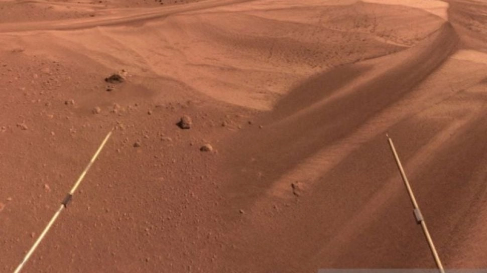 Geger Jejak Misterius di Mars, NASA Temukan Struktur Aneh seperti Sisik Hewan