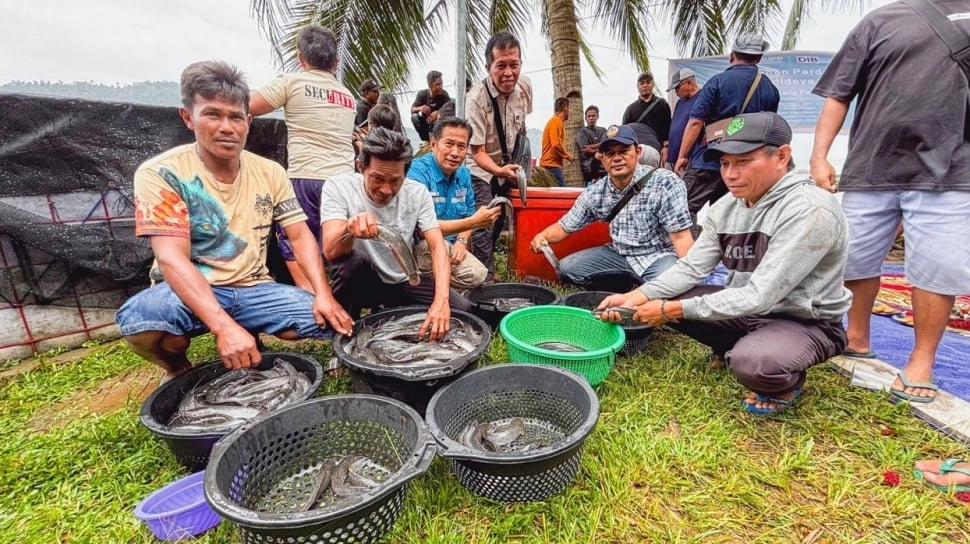 Sinergi Warga dan PT DIB, Panen Perdana Lele di Desa Pelapis Jadi Simbol Kebangkitan Ekonomi