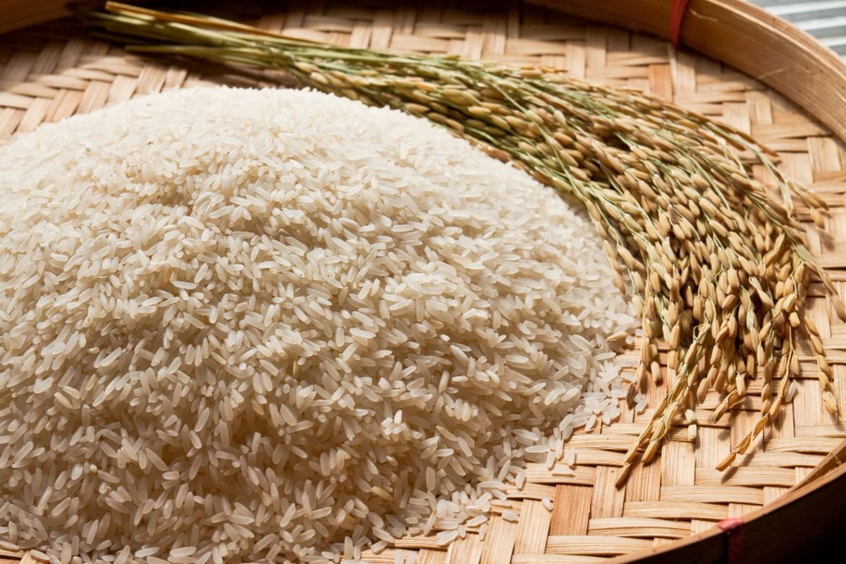 Stok Beras Bulog Capai 4,95 Juta Ton, Pemerintah Soroti Capaian Pangan