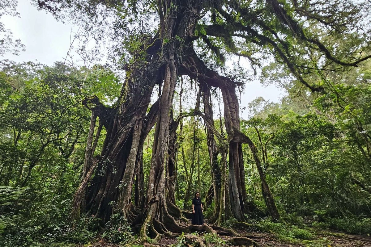 7 Wisata Alam Bali yang Cantik dan Menyejukkan Selain Pantai