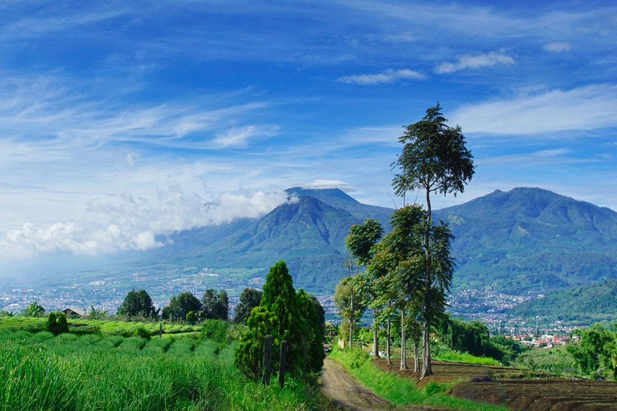 Pendakian Gunung Arjuno-Welirang Buka Lagi 7 Mei 2026, Pesan Tiket H-3
