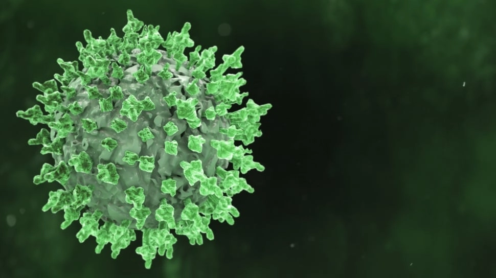 Bisakah Manusia Bertahan Hidup dari Hantavirus? Ini Gejala Fatalnya