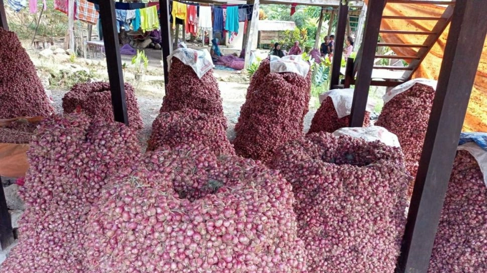Harga Pangan Hari Ini: Cabai Rawit Anjlok, Kenapa Bawang Merah Masih Mahal?