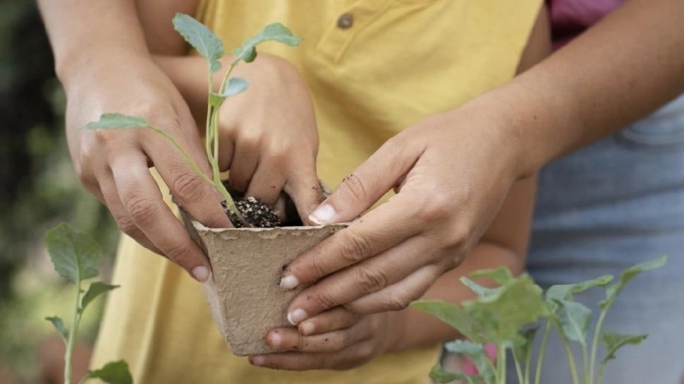 Dari Sejak Dini, Aksi Kecil Anak-Anak Menanam Bibit Tanaman Bisa Jadi Harapan Besar bagi Bumi