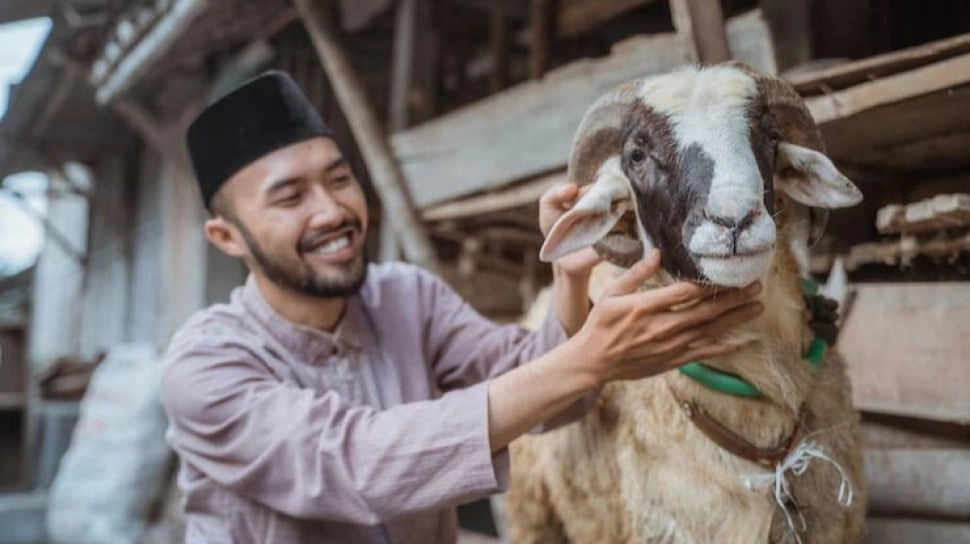 Jangan Salah Beli, Ini Ciri-ciri Hewan yang Tidak Boleh untuk Kurban