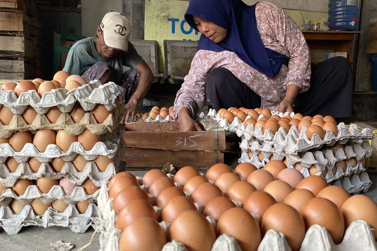 Harga Telur di Magetan Anjlok, BGN: SPPG Optimalkan Menu Telur