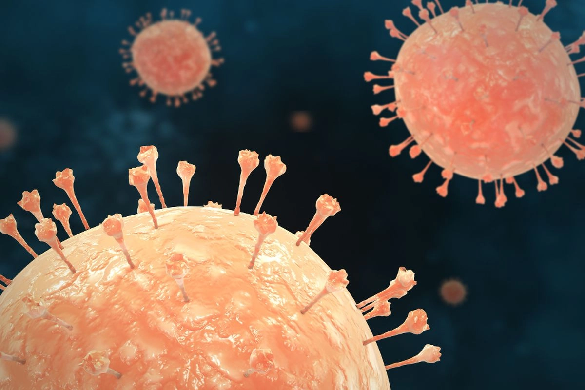 Siapa yang Rentan Terpapar Hantavirus? Ini Penjelasan Epidemiolog