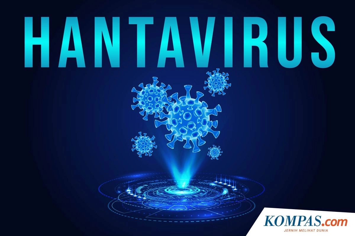 Kemenkes Minta Kontak Erat Kasus Hantavirus Jalani WFH dan Karantina