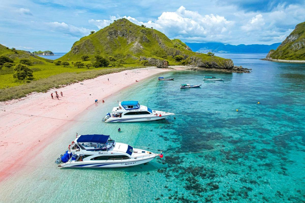 Liburan ke Taman Nasional Komodo, Ini Tips Aman Memilih Agen Travel
