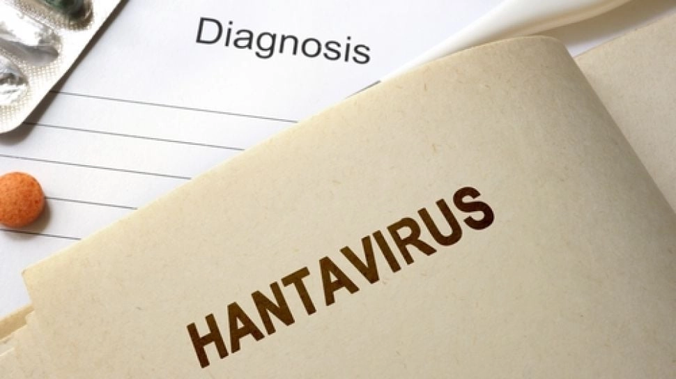 Hantavirus Ada Sejak Kapan? Menilik Sejarah dan Munculnya Kasus di Indonesia