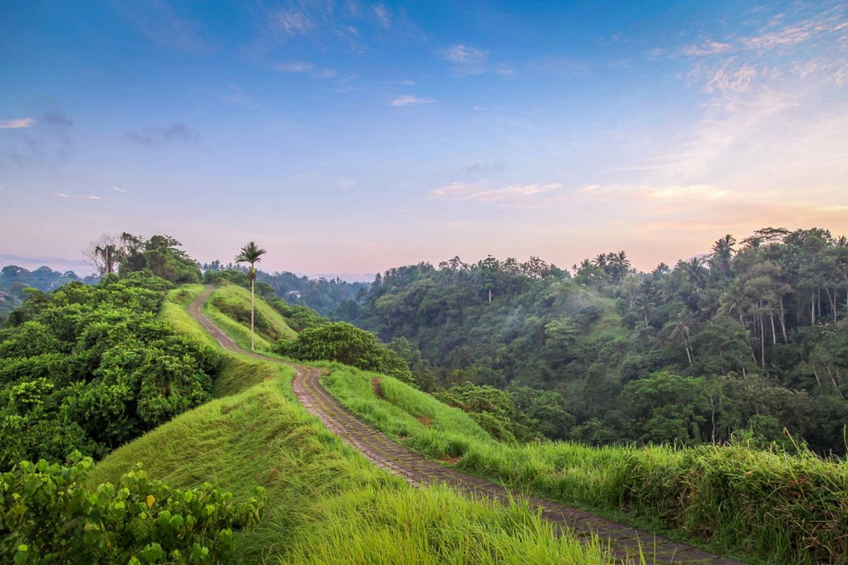 6 Jalur Mendaki dan Jalan Santai dengan Pemandangan Sawah di Kawasan Ubud